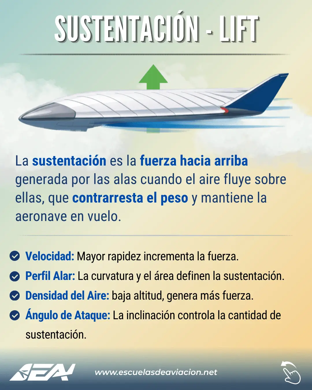 Sustentación aerodinÔmica