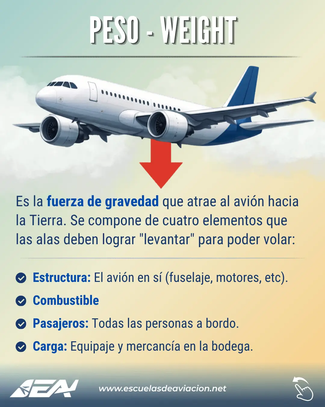 peso del avión